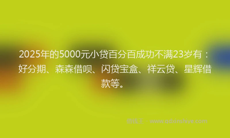 2025年的5000元小贷百分百成功不满23岁有：好分期、森森借呗、闪贷宝盒、祥云贷、星辉借款等。