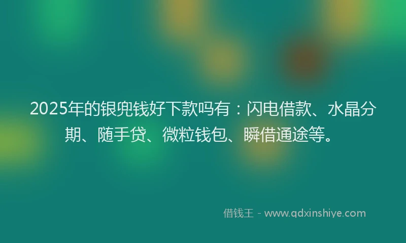 2025年的银兜钱好下款吗有：闪电借款、水晶分期、随手贷、微粒钱包、瞬借通途等。