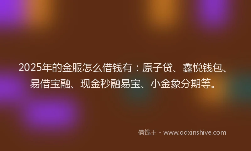 2025年的金服怎么借钱有：原子贷、鑫悦钱包、易借宝融、现金秒融易宝、小金象分期等。