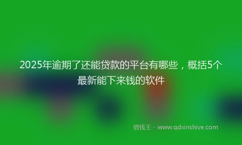 2025年逾期了还能贷款的平台有哪些，概括5个最新能下来钱的软件