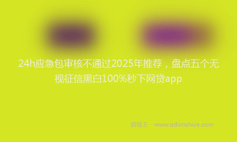 24h应急包审核不通过2025年推荐，盘点五个无视征信黑白100%秒下网贷app