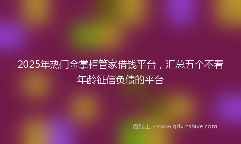 2025年热门金掌柜管家借钱平台，汇总五个不看年龄征信负债的平台