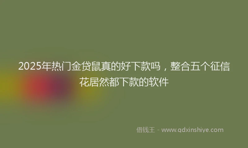 2025年热门金贷鼠真的好下款吗，整合五个征信花居然都下款的软件