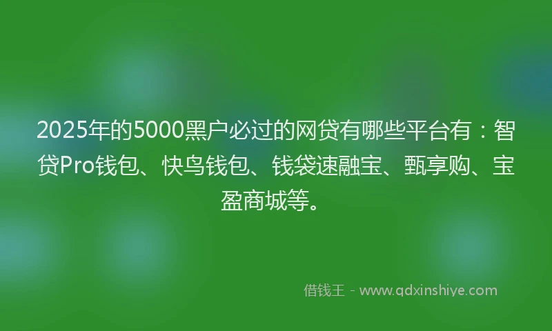 2025年的5000黑户必过的网贷有哪些平台有：智贷Pro钱包、快鸟钱包、钱袋速融宝、甄享购、宝盈商城等。