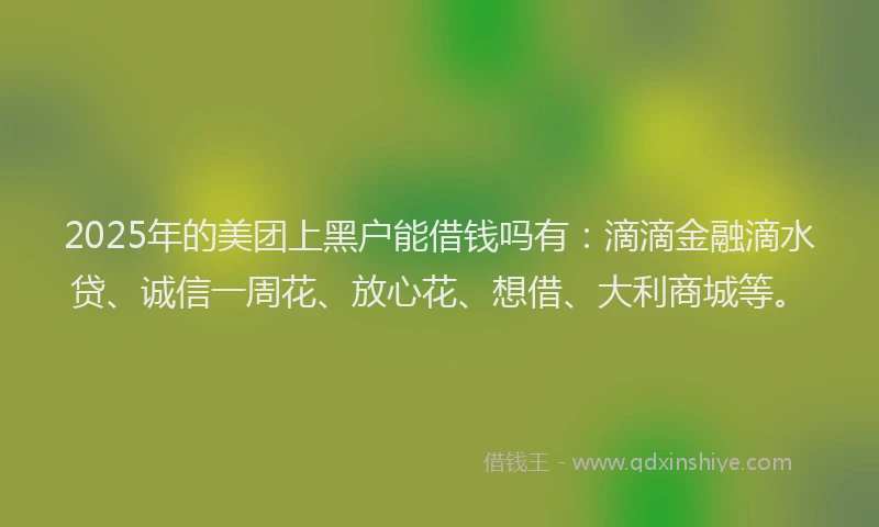 2025年的美团上黑户能借钱吗有：滴滴金融滴水贷、诚信一周花、放心花、想借、大利商城等。