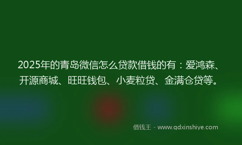 2025年的青岛微信怎么贷款借钱的有：爱鸿森、开源商城、旺旺钱包、小麦粒贷、金满仓贷等。