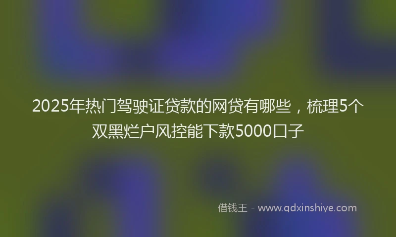 2025年热门驾驶证贷款的网贷有哪些，梳理5个双黑烂户风控能下款5000口子