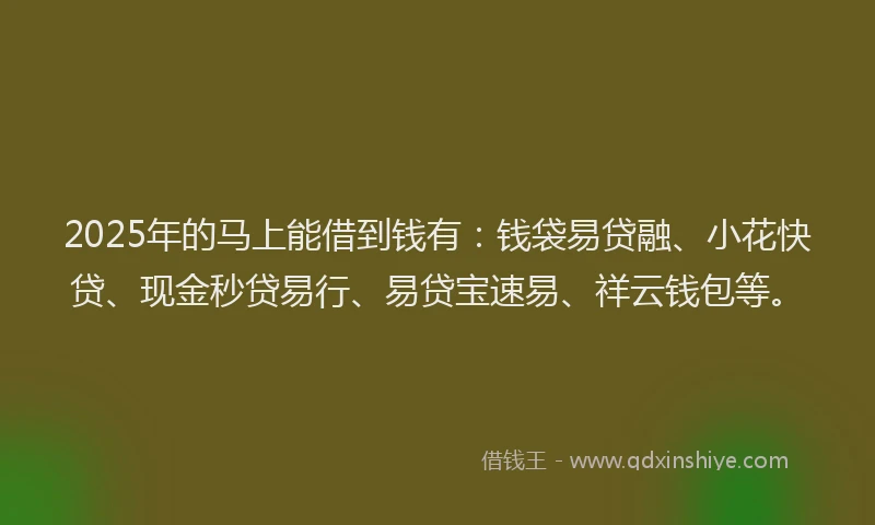 2025年的马上能借到钱有:钱袋易贷融、小花快贷、现金秒贷易行、易贷宝速易、祥云钱包等。