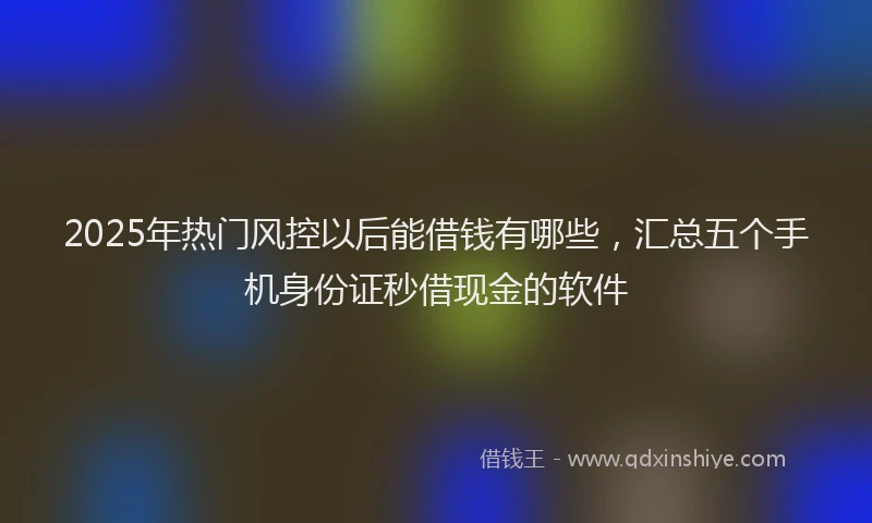 2025年热门风控以后能借钱有哪些，汇总五个手机身份证秒借现金的软件