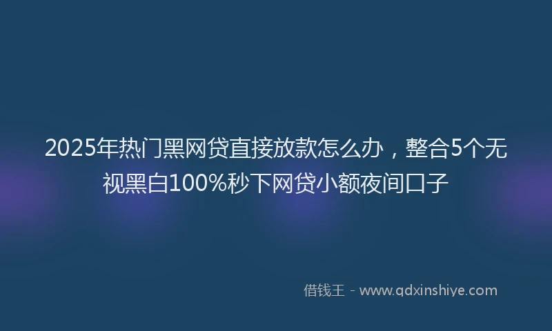 2025年热门黑网贷直接放款怎么办，整合5个无视黑白100%秒下网贷小额夜间口子