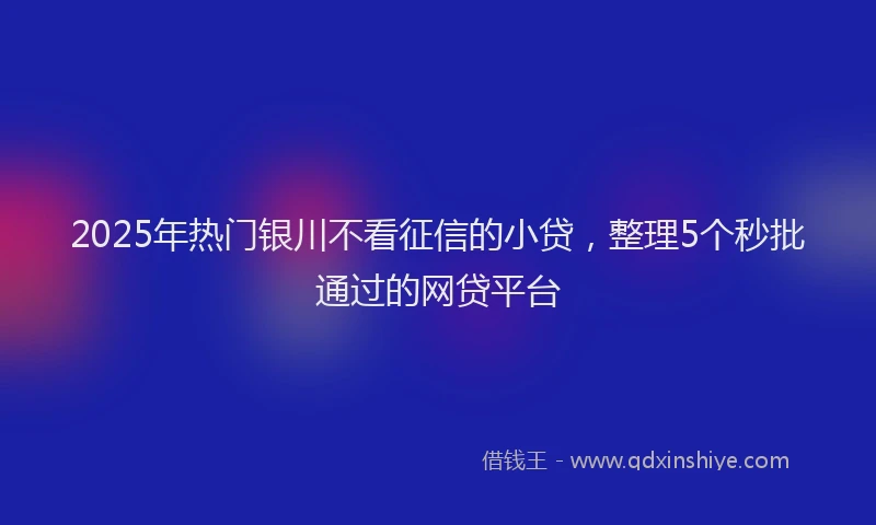 2025年热门银川不看征信的小贷，整理5个秒批通过的网贷平台