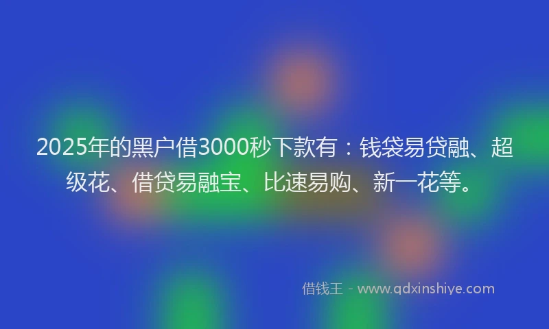2025年的黑户借3000秒下款有：钱袋易贷融、超级花、借贷易融宝、比速易购、新一花等。