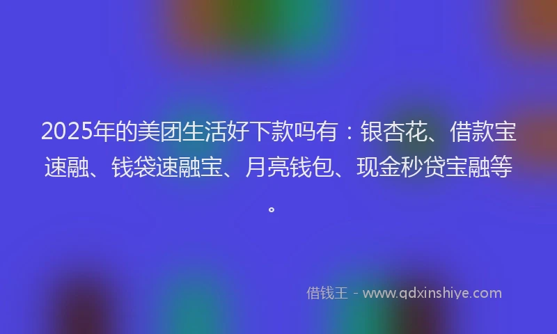 2025年的美团生活好下款吗有：银杏花、借款宝速融、钱袋速融宝、月亮钱包、现金秒贷宝融等。