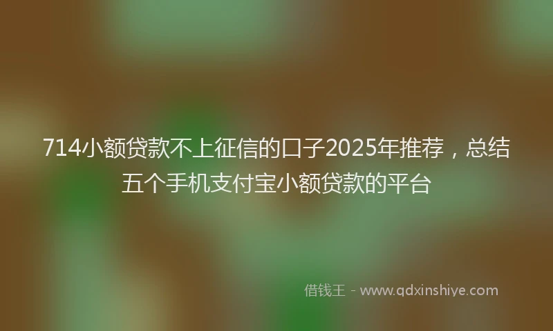 714小额贷款不上征信的口子2025年推荐，总结五个手机支付宝小额贷款的平台
