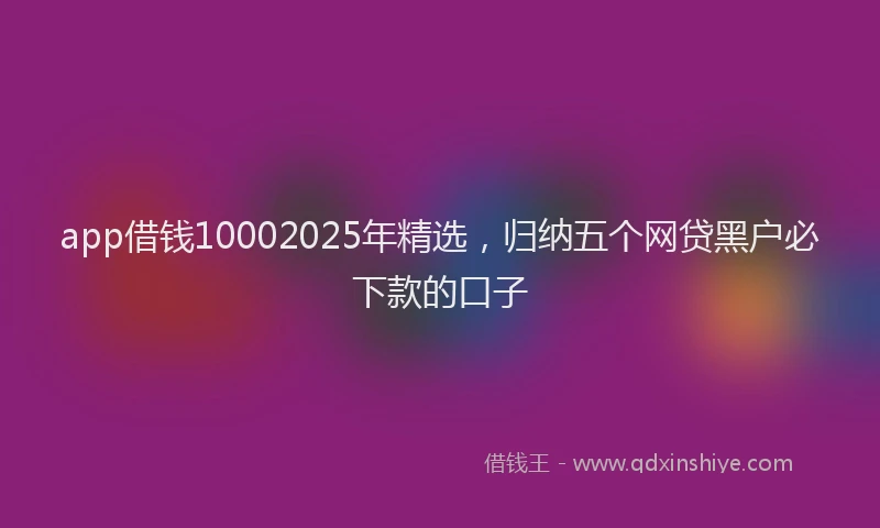 app借钱10002025年精选，归纳五个网贷黑户必下款的口子