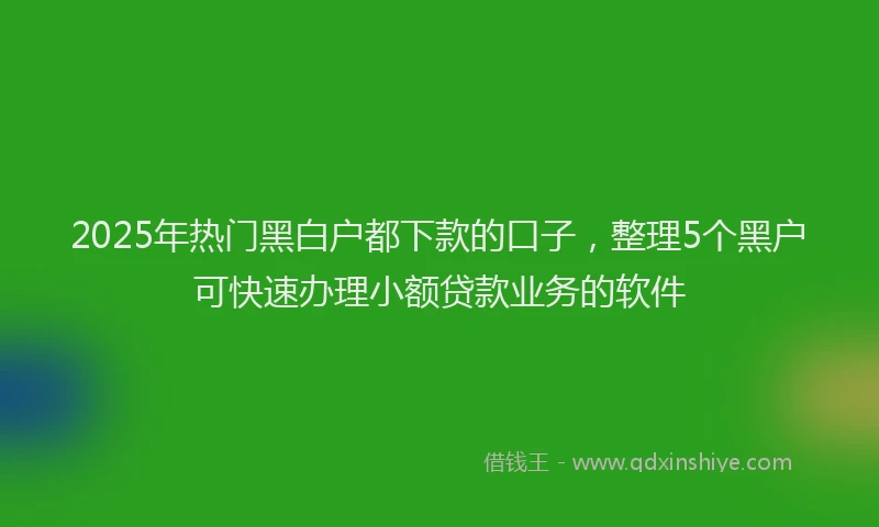 2025年热门黑白户都下款的口子，整理5个黑户可快速办理小额贷款业务的软件