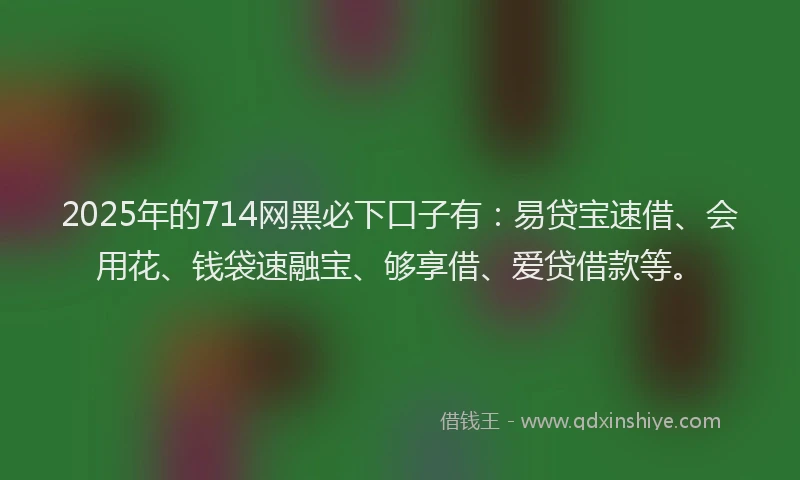 2025年的714网黑必下口子有:易贷宝速借、会用花、钱袋速融宝、够享借、爱贷借款等。