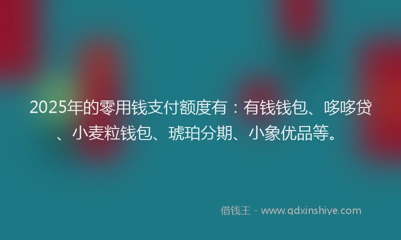 2025年的零用钱支付额度有:有钱钱包、哆哆贷、小麦粒钱包、琥珀分期、小象优品等。