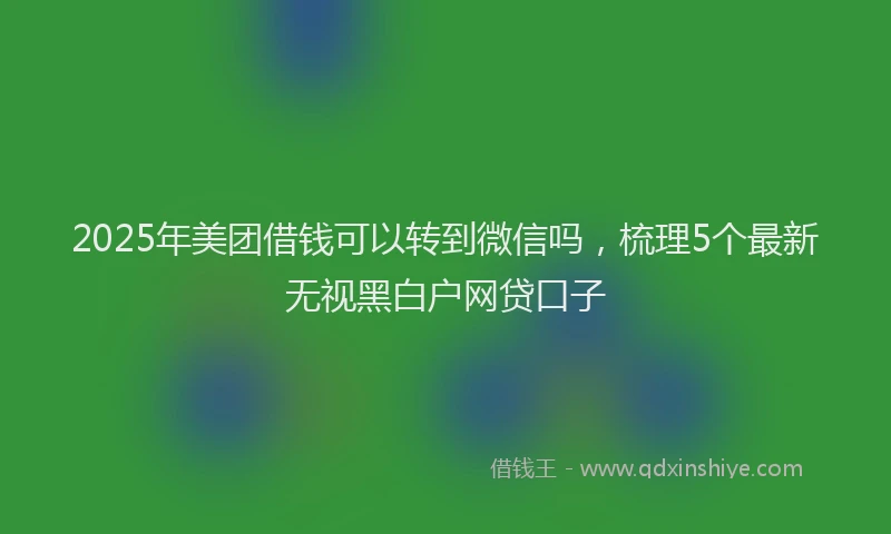 2025年美团借钱可以转到微信吗，梳理5个最新无视黑白户网贷口子