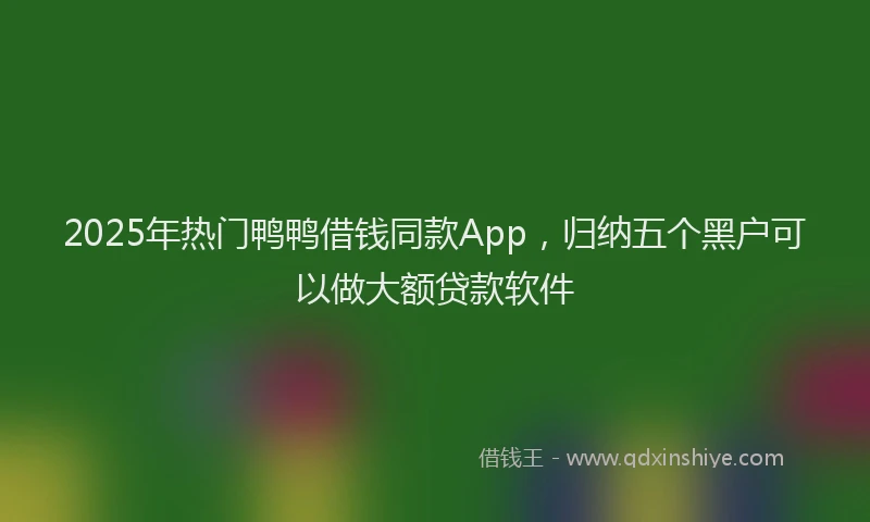 2025年热门鸭鸭借钱同款App，归纳五个黑户可以做大额贷款软件