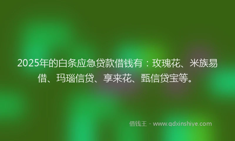 2025年的白条应急贷款借钱有：玫瑰花、米族易借、玛瑙信贷、享来花、甄信贷宝等。