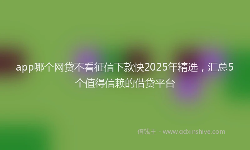 app哪个网贷不看征信下款快2025年精选，汇总5个值得信赖的借贷平台