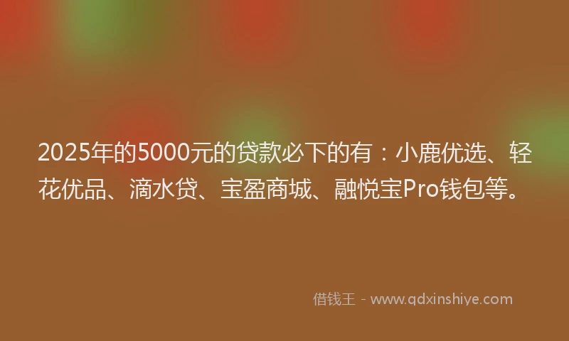 2025年的5000元的贷款必下的有：小鹿优选、轻花优品、滴水贷、宝盈商城、融悦宝Pro钱包等。