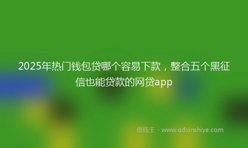 2025年热门钱包贷哪个容易下款，整合五个黑征信也能贷款的网贷app