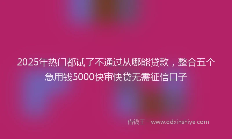 2025年热门都试了不通过从哪能贷款，整合五个急用钱5000快审快贷无需征信口子