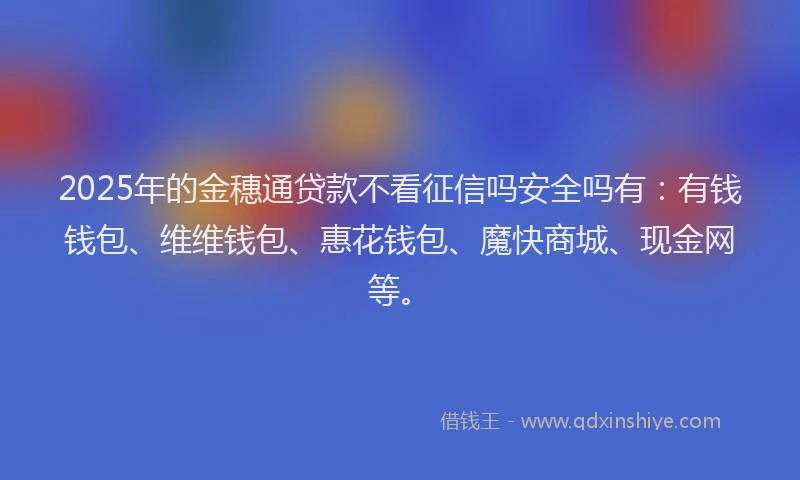 2025年的金穗通贷款不看征信吗安全吗有：有钱钱包、维维钱包、惠花钱包、魔快商城、现金网等。