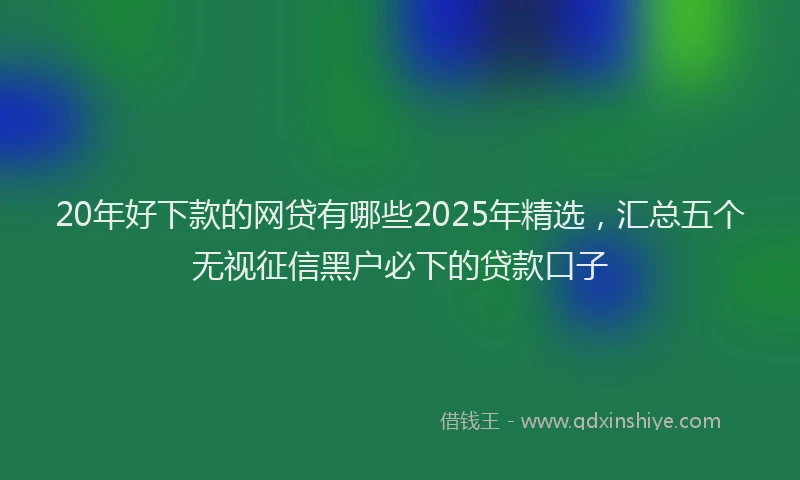 20年好下款的网贷有哪些2025年精选，汇总五个无视征信黑户必下的贷款口子