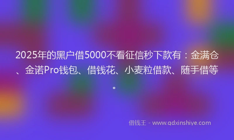 2025年的黑户借5000不看征信秒下款有：金满仓、金诺Pro钱包、借钱花、小麦粒借款、随手借等。