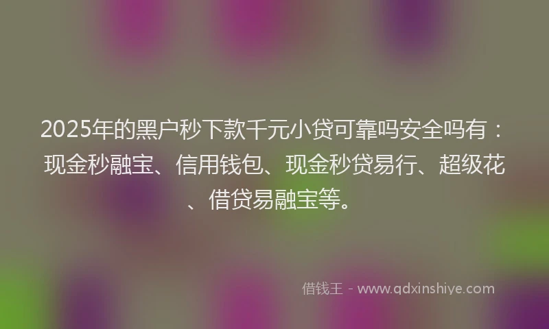 2025年的黑户秒下款千元小贷可靠吗安全吗有：现金秒融宝、信用钱包、现金秒贷易行、超级花、借贷易融宝等。