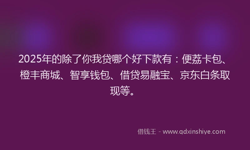 2025年的除了你我贷哪个好下款有：便荔卡包、橙丰商城、智享钱包、借贷易融宝、京东白条取现等。