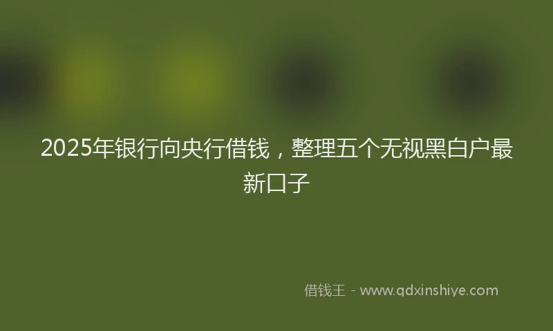 2025年银行向央行借钱，整理五个无视黑白户最新口子