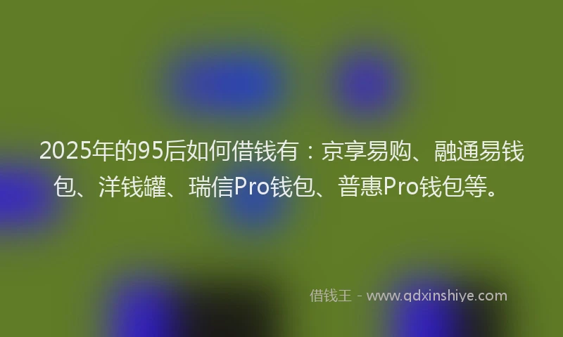 2025年的95后如何借钱有：京享易购、融通易钱包、洋钱罐、瑞信Pro钱包、普惠Pro钱包等。