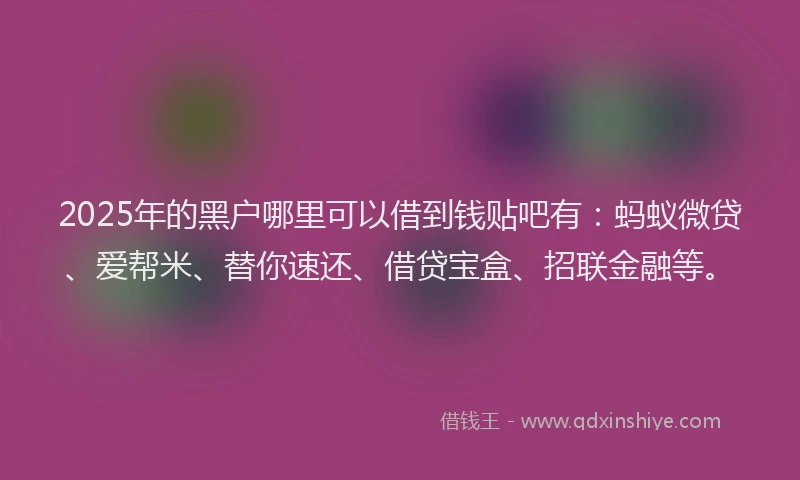 2025年的黑户哪里可以借到钱贴吧有：蚂蚁微贷、爱帮米、替你速还、借贷宝盒、招联金融等。