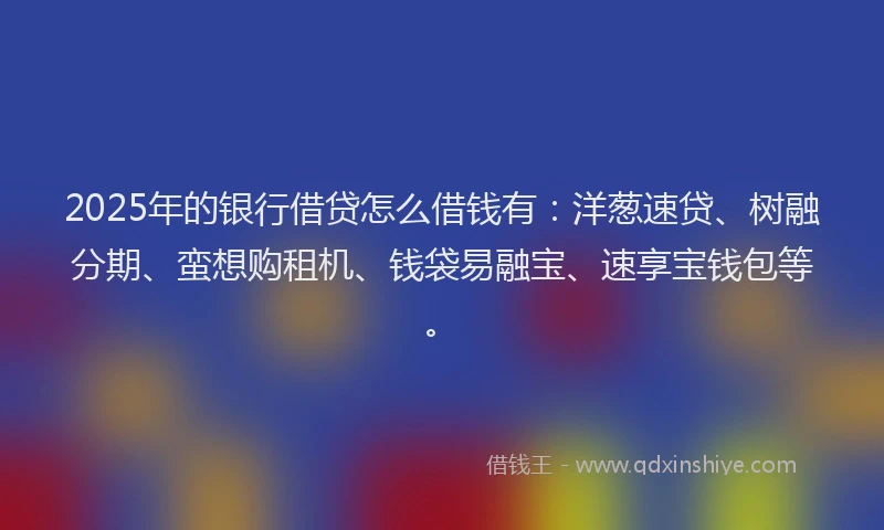 2025年的银行借贷怎么借钱有：洋葱速贷、树融分期、蛮想购租机、钱袋易融宝、速享宝钱包等。