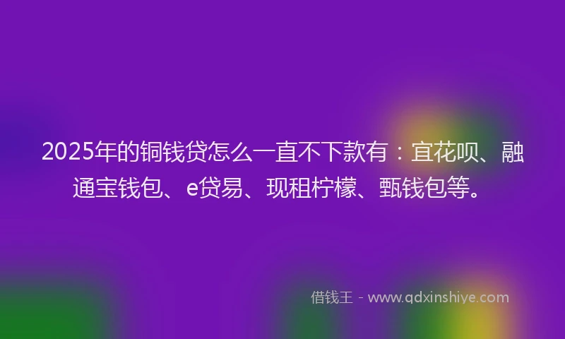 2025年的铜钱贷怎么一直不下款有：宜花呗、融通宝钱包、e贷易、现租柠檬、甄钱包等。