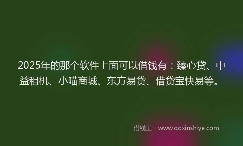 2025年的那个软件上面可以借钱有：臻心贷、中益租机、小喵商城、东方易贷、借贷宝快易等。