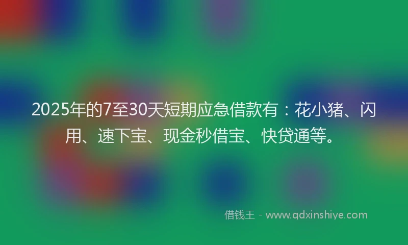 2025年的7至30天短期应急借款有：花小猪、闪用、速下宝、现金秒借宝、快贷通等。