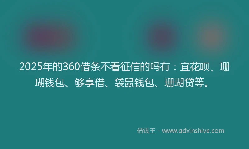 2025年的360借条不看征信的吗有：宜花呗、珊瑚钱包、够享借、袋鼠钱包、珊瑚贷等。