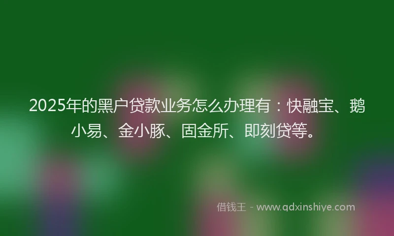 2025年的黑户贷款业务怎么办理有：快融宝、鹅小易、金小豚、固金所、即刻贷等。