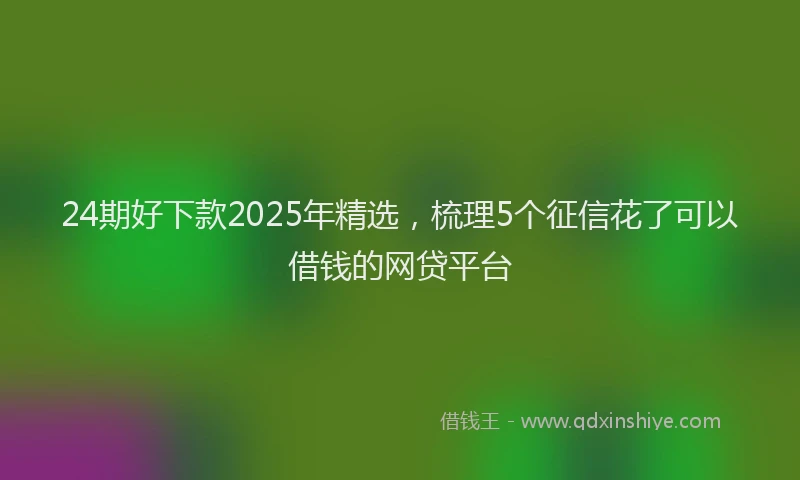 24期好下款2025年精选，梳理5个征信花了可以借钱的网贷平台