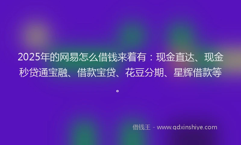 2025年的网易怎么借钱来着有：现金直达、现金秒贷通宝融、借款宝贷、花豆分期、星辉借款等。
