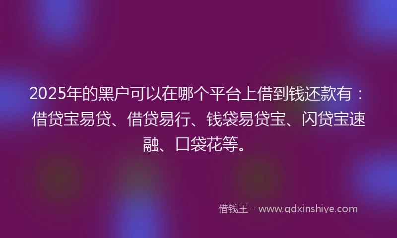 2025年的黑户可以在哪个平台上借到钱还款有：借贷宝易贷、借贷易行、钱袋易贷宝、闪贷宝速融、口袋花等。
