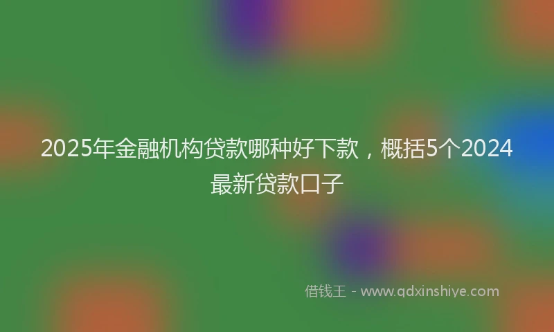 2025年金融机构贷款哪种好下款,概括5个2024最新贷款口子