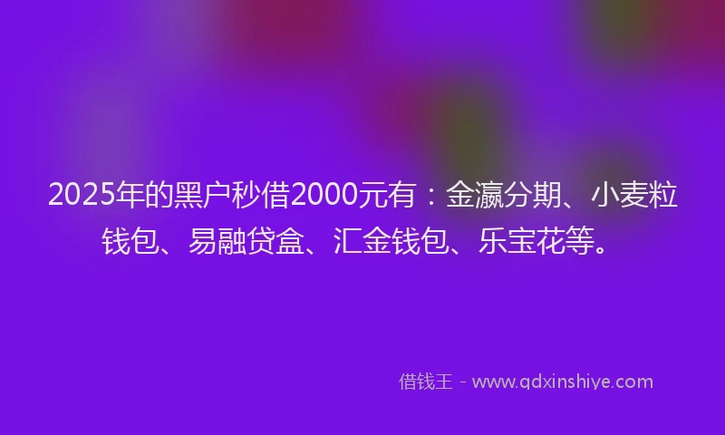 2025年的黑户秒借2000元有：金瀛分期、小麦粒钱包、易融贷盒、汇金钱包、乐宝花等。