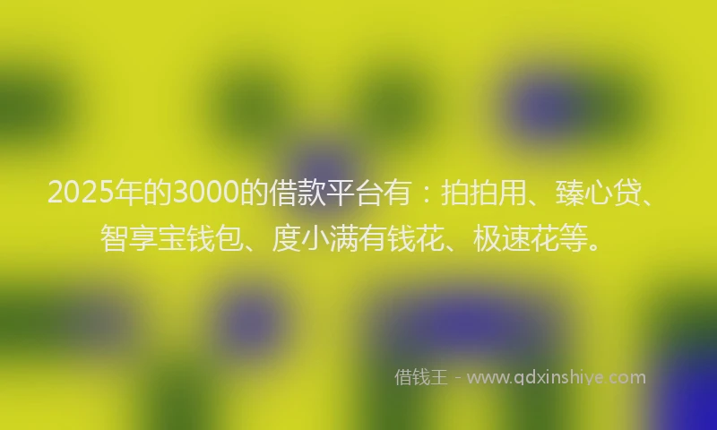 2025年的3000的借款平台有：拍拍用、臻心贷、智享宝钱包、度小满有钱花、极速花等。