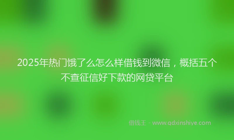2025年热门饿了么怎么样借钱到微信，概括五个不查征信好下款的网贷平台
